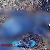 Hilang Lebih dari 10 Hari, Pria 84 Tahun di Banyuwangi Ditemukan Tinggal Kerangka