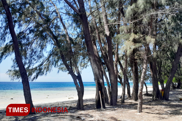 Pantai Cemara: East Sumba's Hidden Paradise of White Sands and Pine Trees