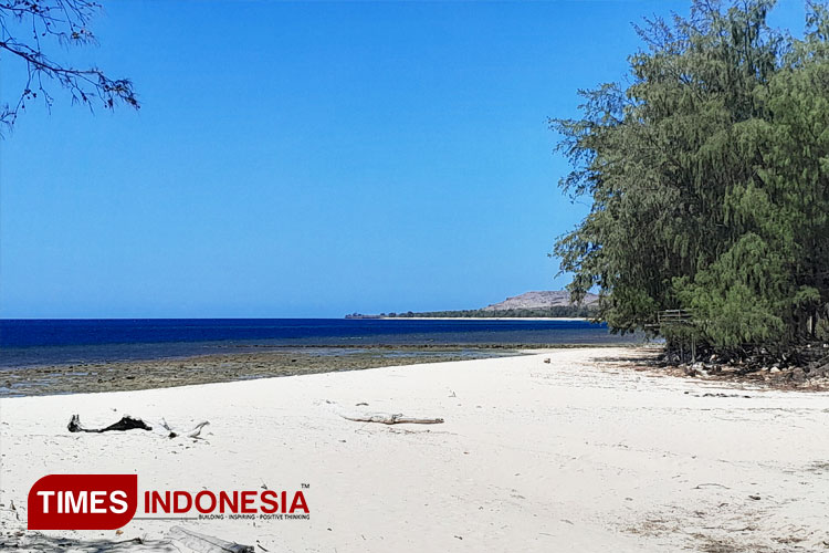 Pantai Cemara, Pesona Alam Eksotis di Sumba Timur