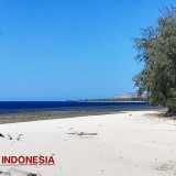 Pantai Cemara, Pesona Alam Eksotis di Sumba Timur