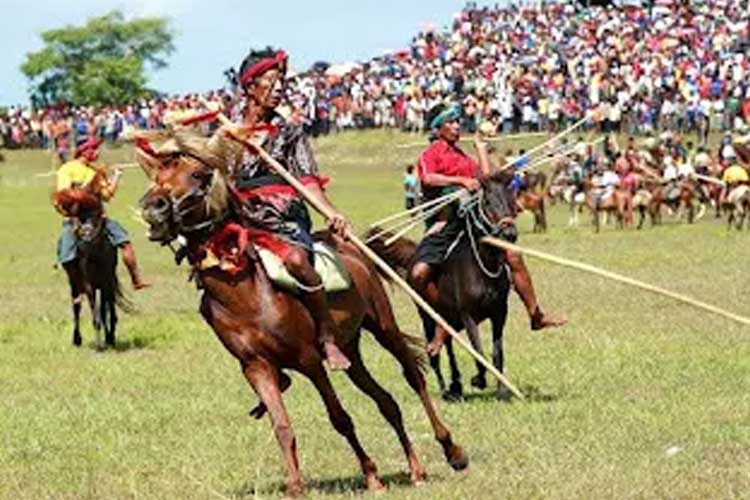 The Pasola tradition of Sumba. (Photo: Doc. TIMES Indonesia)