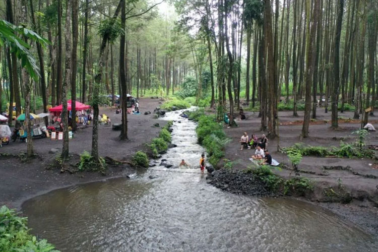 Air Terjun Mini Jadi Daya Tarik Wisata Hutan Pinus Poncosumo Lumajang