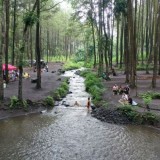 Air Terjun Mini Jadi Daya Tarik Wisata Hutan Pinus Poncosumo Lumajang