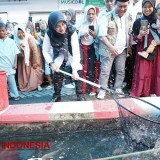 Inovasi Warga Kabupaten Banyuwangi, Sulap Saluran Air Kotor Jadi Kolam Ikan