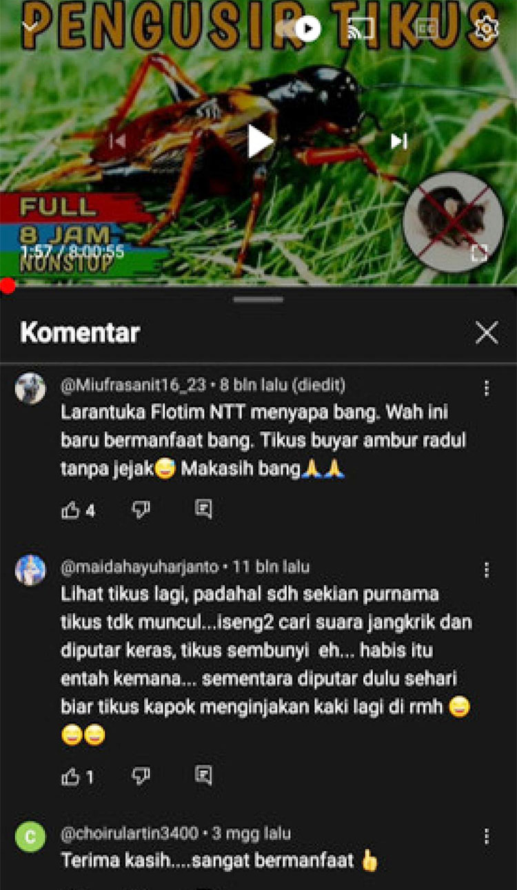 komentar.jpg