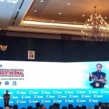 Jokowi Tekankan Tantangan Keterjangkauan Harga dalam Transisi Energi Hijau di Indonesia