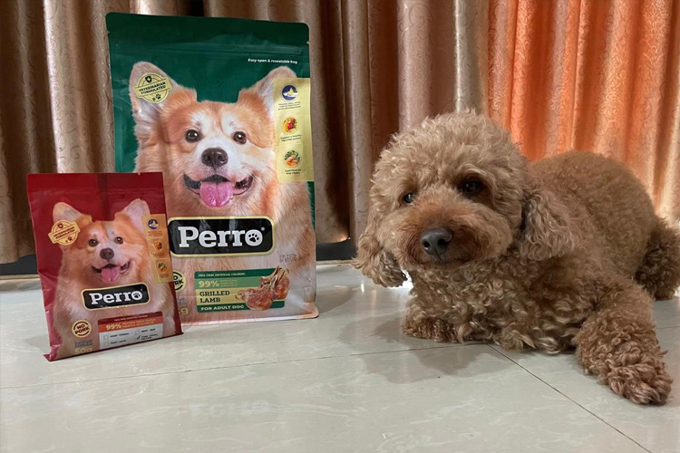 Kino Indonesia Hadirkan Perro, Inovasi Produk Makanan Anjing Terbaru