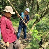 Kementan Lakukan Panen Raya Saat Bunex 2024