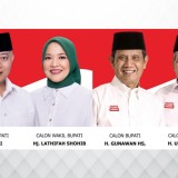 Dua Paslon di Pilbup Malang 2024 Resmi Ditetapkan KPU, Ini Visi Misi dan Potensi Suaranya