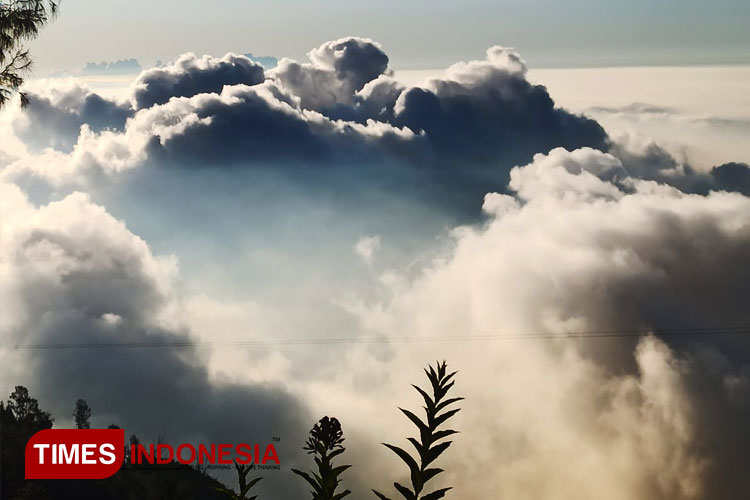 Tips to Enjoy the Beauty of Mount Bromo: A Guide from a Local Tour Guide