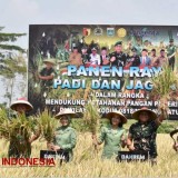 Dandim 0818 Bersama Danrem 083 Panen Raya Padi dan Jagung di Malang