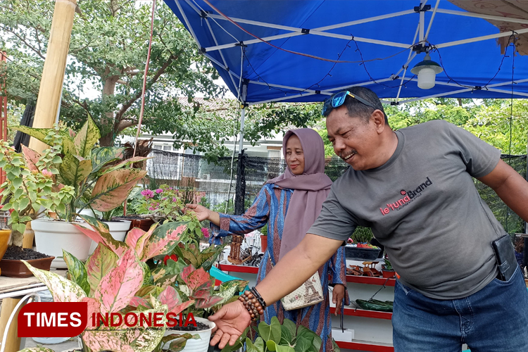 Banyuwangi Surga Tersembunyinya Pecinta Tanaman Hias