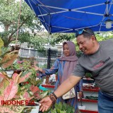 Banyuwangi Surga Tersembunyinya Pecinta Tanaman Hias