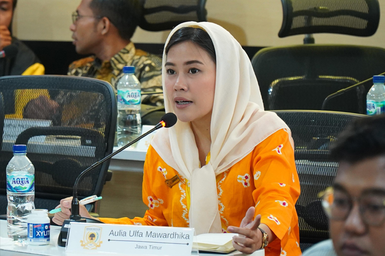 Aulia-Ulfa-Mawardhika-2.jpg