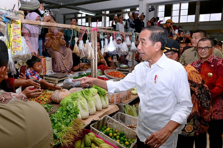 Apresiasi Jokowi Jaga Stabilitas Ekonomi, Pengamat: Sangat Luar Biasa