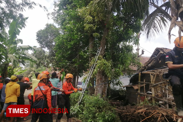 BPBD Jember Tangani Dampak Angin Kencang di Beberapa Kecamatan