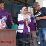 Vaksinasi dan Kastrasi Hewan Peliharaan di Bondowoso Peringati Hari Rabies Sedunia