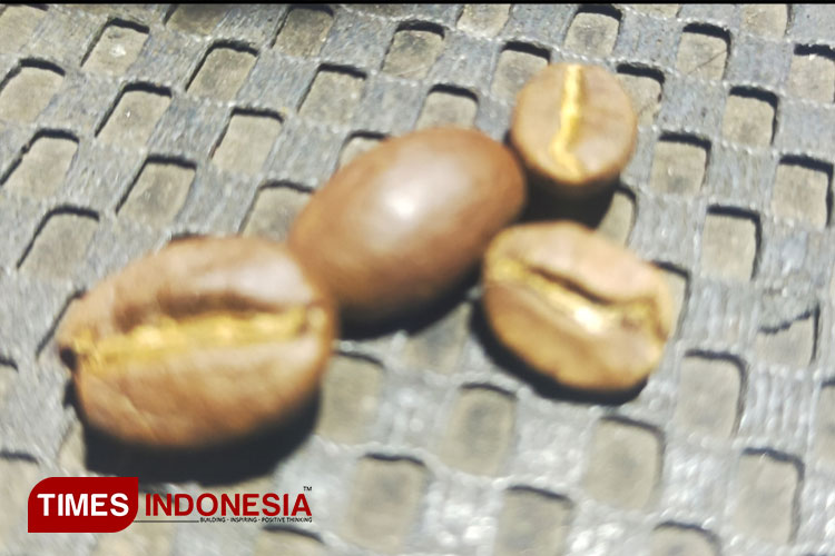 kopi-arabica-2.jpg
