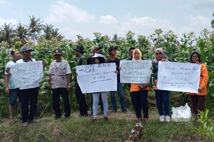 Rugikan Petani Tembakau, APTI Jember Tolak PP Larangan Jual Beli Rokok