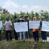 Rugikan Petani Tembakau, APTI Jember Tolak PP Larangan Jual Beli Rokok