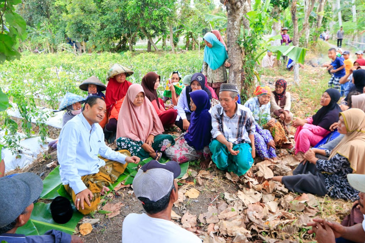 Kampanye Ala Cabup Banyuwangi Gus Makki, Gesah ‘Klesotan’ Bareng Petani di Pinggir Sawah