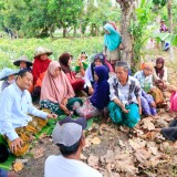 Kampanye Ala Cabup Banyuwangi Gus Makki, Gesah ‘Klesotan’ Bareng Petani di Pinggir Sawah