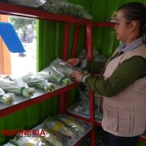 Buka Peluang Pasar, Mini Market Sayur Tampung Hasil Panen Warga Madiun 