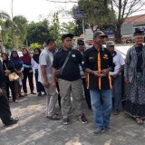 Timbulkan Bau Menyengat, Ternak Babi di Bantul Didemo Warga