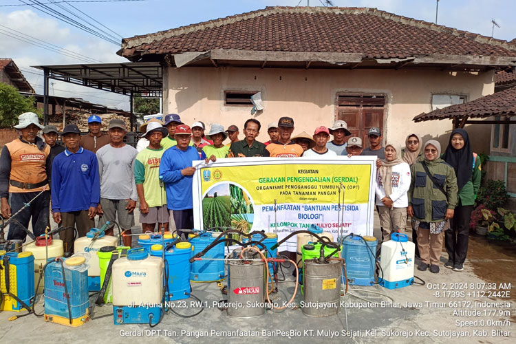 Gerakan Pengendalian OPT Tanaman Padi dengan Pestisida Nabati di Sutojayan