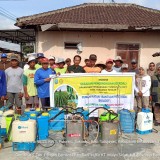 Gerakan Pengendalian OPT Tanaman Padi dengan Pestisida Nabati di Sutojayan