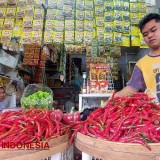 Harga Cabai Merah Besar di Banyuwangi Kian Merosot Sentuh Rp3.500 Per kilogram