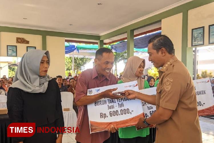 Pemkab Pacitan Rampung Salurkan BLT DBHCHT 2024 untuk Buruh Tani Tembakau dan Pabrik Rokok