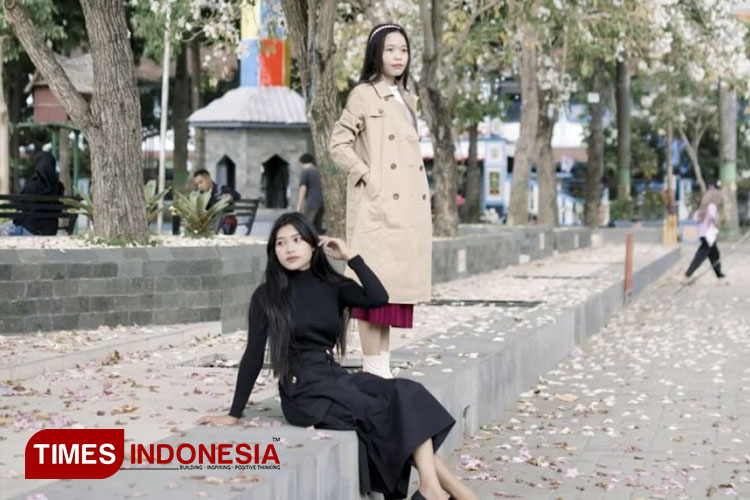 Bunga Tabebuya di Alun-Alun Jombang Bermekaran, Jadi Spot Foto Layaknya di Negeri Sakura