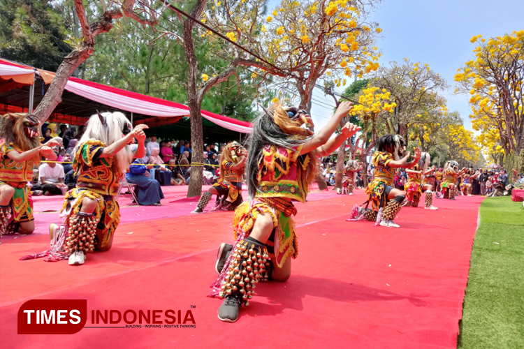 Festival Tabebuya Kota Batu 2024, Keindahan Bunga Mirip Sakura di Desa Pendem