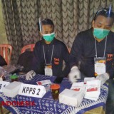 Pilkada 2024, Kabupaten Pacitan Kekurangan Petugas KPPS