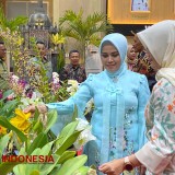 Batu Shining Orchid Week 2024 Hadirkan Ragam Pesona Anggrek Nusantara