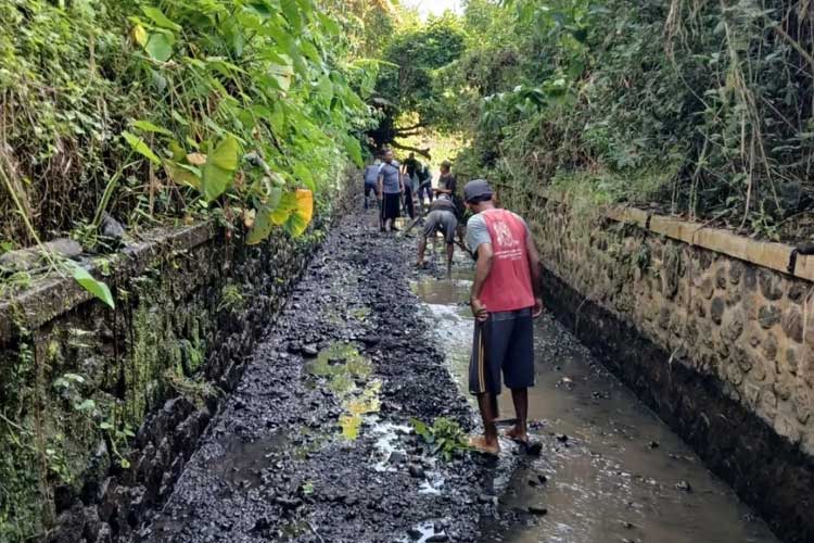 Banyuwangi Gencar Program Padat Karya untuk Tingkatkan Kesejahteraan Warga