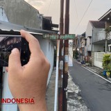 Fakta-Fakta Belasan Kucing di Kota Malang Mati Massal, Diduga Diracun