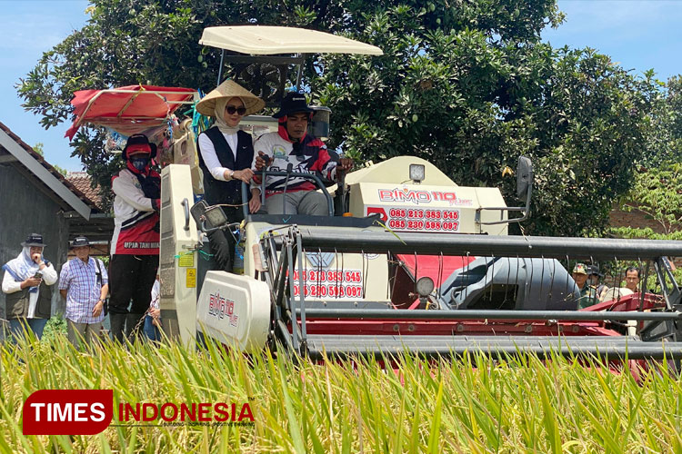 Bulog Dongkrak Produktivitas Petani di Kabupaten Banyuwangi Melalui Mitra Tani