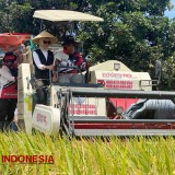 Bulog Dongkrak Produktivitas Petani di Kabupaten Banyuwangi Melalui Mitra Tani