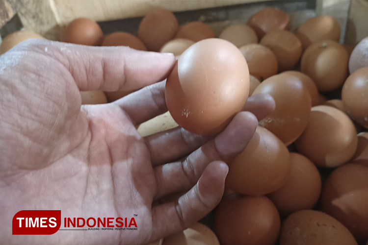 Harga Telur di Pasar Banyuwangi Kembali Normal Pasca Bulan Maulid