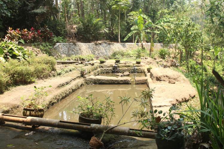 Exploring Majapahit Royal Baths at Patirtaan Ngawonggo