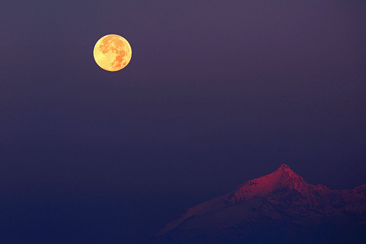 Jangan Lewatkan, Fenomena Hunter Moon Terjadi Malam ini