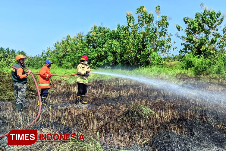 Musim Kemarau, Pembakaran Sampah Jadi Biang Keladi Kebakaran di Banyuwangi