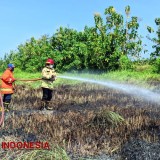 Musim Kemarau, Pembakaran Sampah Jadi Biang Keladi Kebakaran di Banyuwangi