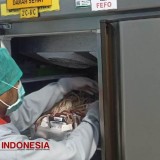 Warga Banyuwangi Harus Tau Alasan Darah dari Donor Tidak Gratis