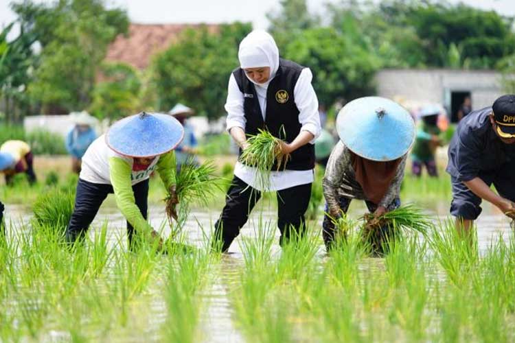 Khofifah Tekankan Pentingnya Inovasi Pengelolaan Air dalam Wujudkan Kedaulatan Pangan