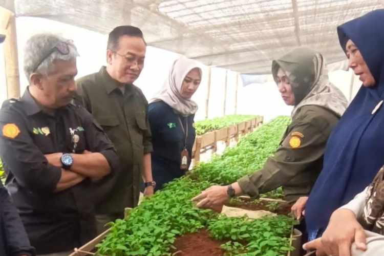 Pemkab Malang Bangun Rumah Pintar Klaster Kentang, Pusat Edukasi Jaga Varietas Unggulan