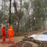 Diguyur Hujan Deras, BPBD Pacitan Laporkan Dua Titik Talud Ambrol dan Satu Pohon Tumbang