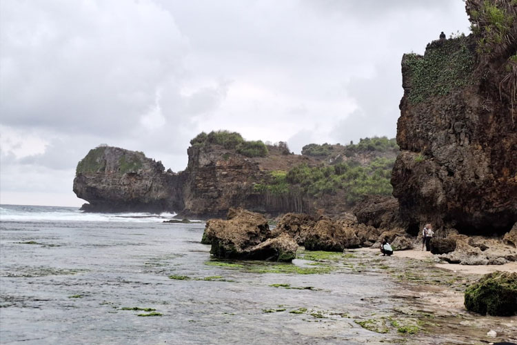 Terumbu Glamping di Pantai Ngedan, Wisata Glamor di Alam Terbuka Gunungkidul